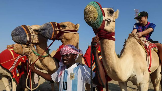 Alarmi për “gripin e devesë” pas Kupës së Botës, më vdekjeprurës se Covid-19