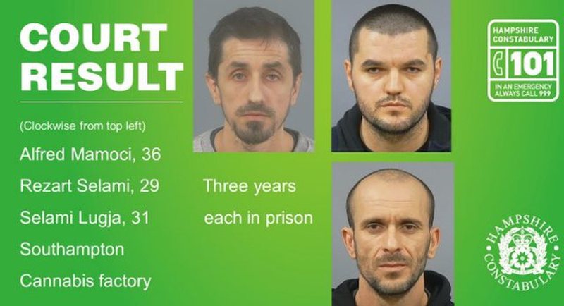 EMRAT/ Bënin “namin” me kanabis në Britani, e pësojnë tre shqiptarët, si u pikasën nga policia