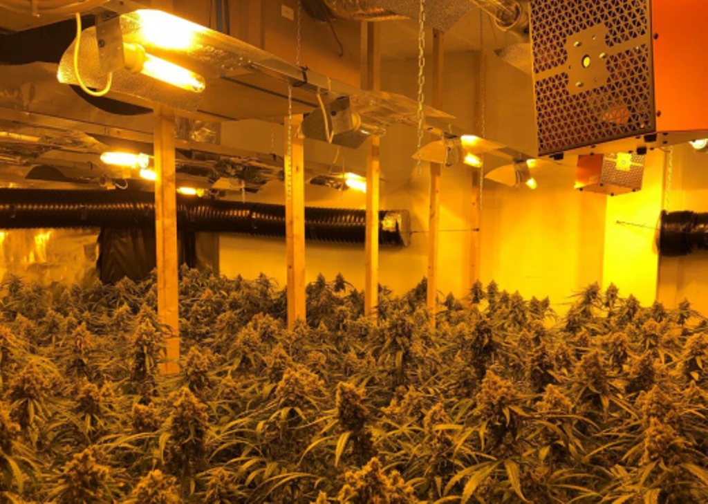 4 të rinj kapen me 250 mijë paund drogë në Britani: Më mirë rrimë në burg, se të kthehemi në Shqipëri!