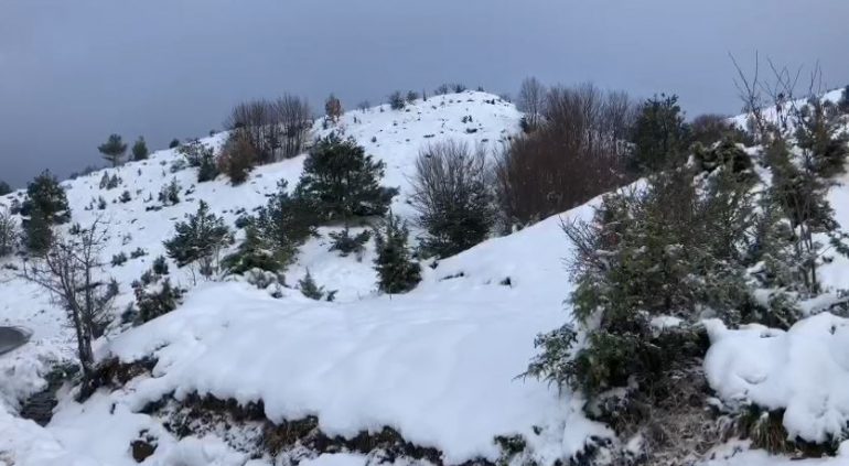 Malësia e Krujës mbulohet nga bora, në disa zona trashësia shkon deri në 7 cm