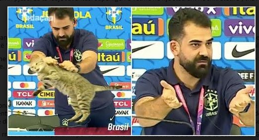 Gazetarët në Katar shokohen kur përfaqësuesi i Brazilit kap nga zverku macen në tryezën e konferencës