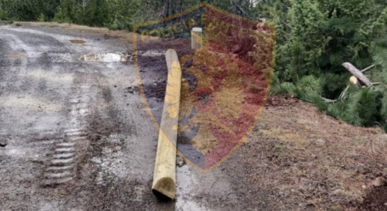 Preu shtyllat e vendosura nga OSHEE në Lurë, arrestohet 57-vjeçari