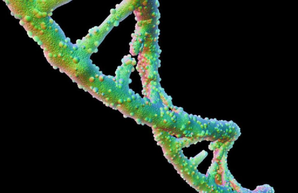 Evidentohen 155 gene të reja në ADN-në njerëzore