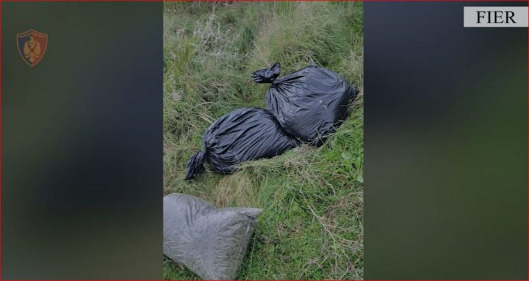 EMRAT/ Arrestohen 3 persona, sekuestrohen 17 thasë me kanabis, në hetim edhe dy të mitur