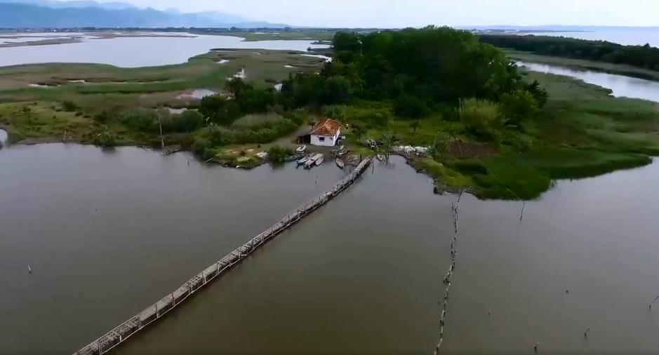 I shpallur në kërkim për dëmtimin e lagunës së Kune-Vainit, vihet në pranga zyrtari