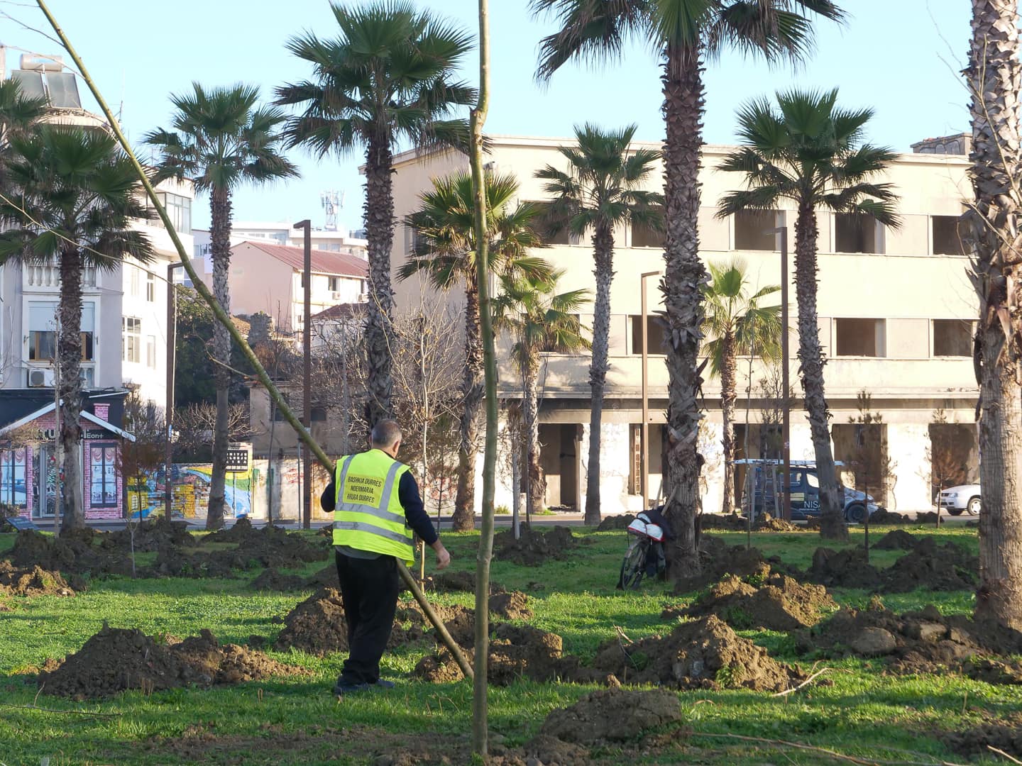 Sako publikon fotot nga mbjellja e “Rrap”-it në shëtitore: Do të mbillen 1000 pemë