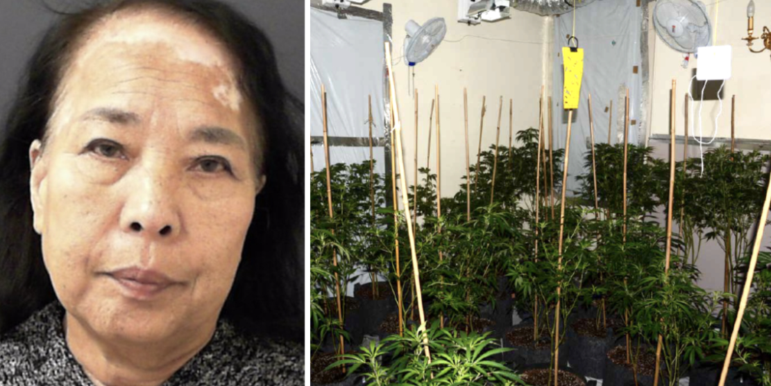 Dha me qira ambiente te një bandë shqiptare droge, manjatja japoneze e pronave merr goditjen e dytë nga autoritetet britanike