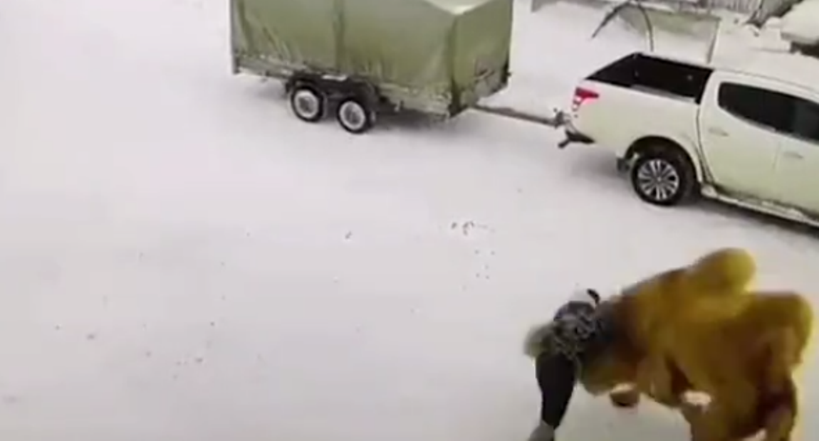 51-vjeçari e godet me grusht, deveja hakmerret dhe e kafshon për vdekje (VIDEO)