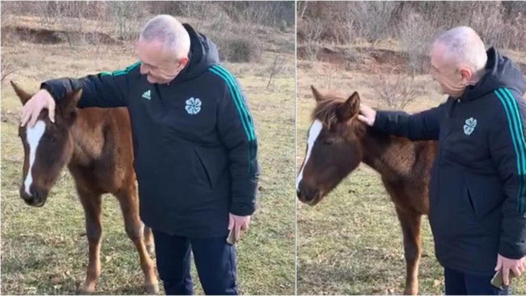 Video/ Meta shfaqet duke përkëdhelur një mushkë: Simbol i punës dhe fisnikërisë