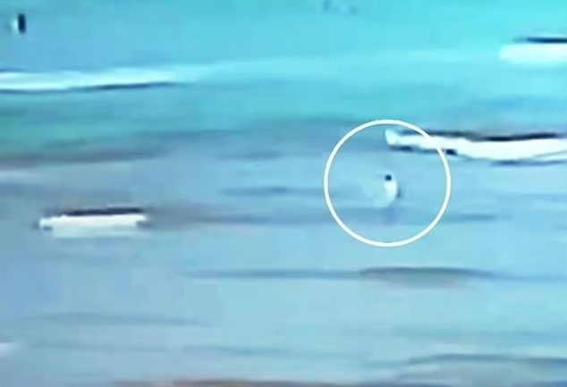 Video/ Fëmija goditet nga rrufeja në det, shpëton mrekullisht