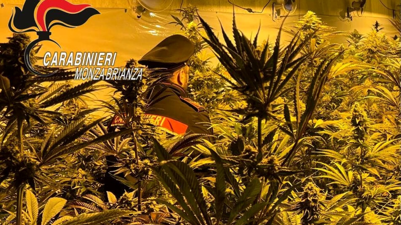 Përshtatën kasollen në ‘shtëpi bari’, pranga 2 shqiptarëve në Itali