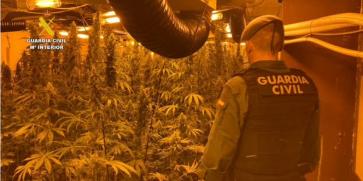 “Një zhurmë e çuditshme vazhdimisht”, dy shqiptarë kapen nga policia spanjolle në “shtëpi bari”