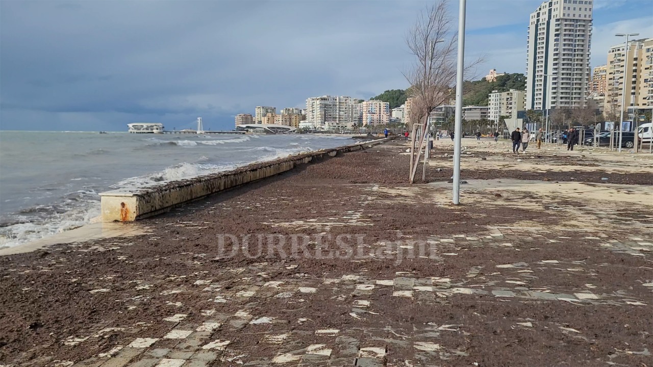 Sasitë e konsiderueshme të leshterikëve në shëtitore, NSHK ndërhyn me mjete të rënda (VIDEO)