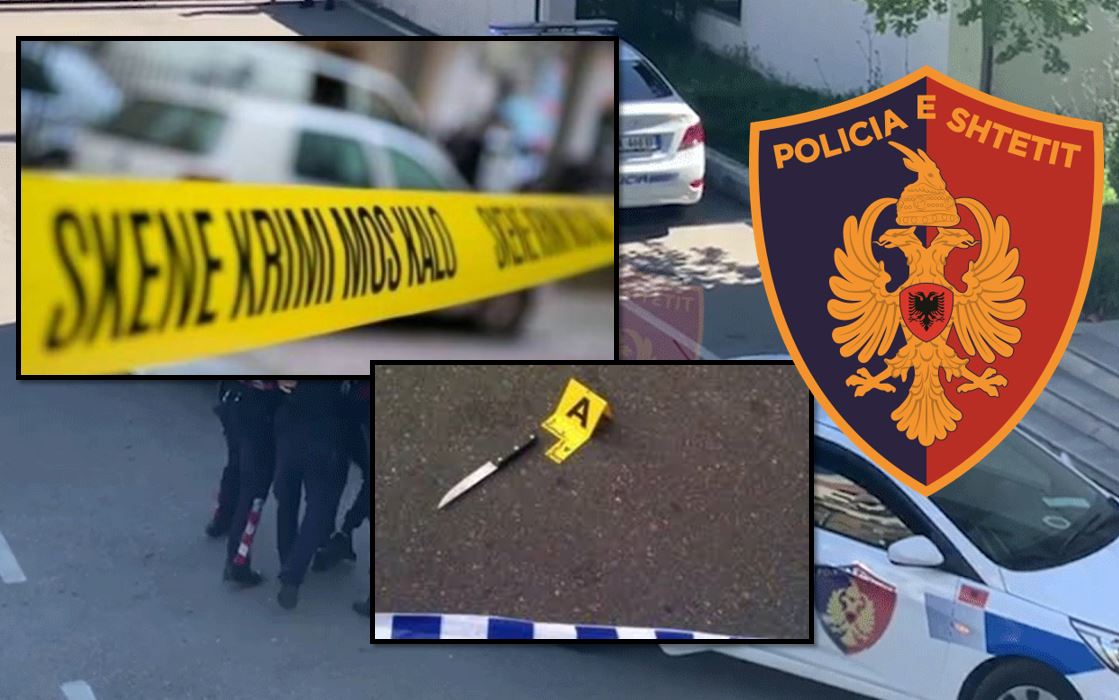 Plagosja me thikë në Bllok, arrestohet një nga autorët e dyshuar