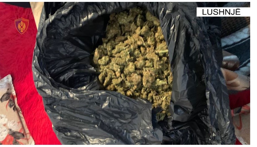 Shpërndanin kanabis dhe kokainë të ndarë në doza, arrestohen tre persona