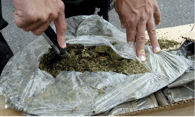 Kaluan në Austri 32 kg kokainë dhe 100 kg marijuanë, arrestohen 4 shqiptarë