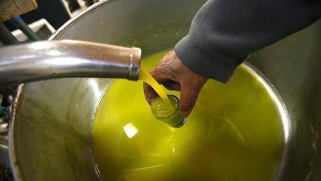 Kapen 9 tonë vaj ulliri shqiptar në Itali, ishin kontrabandë