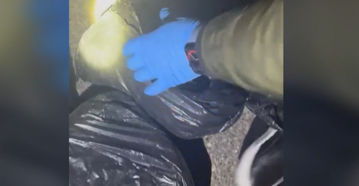 Kishin fshehur 8 kg kanabis në bagazhin e makinës, në pranga 2 transportuesit