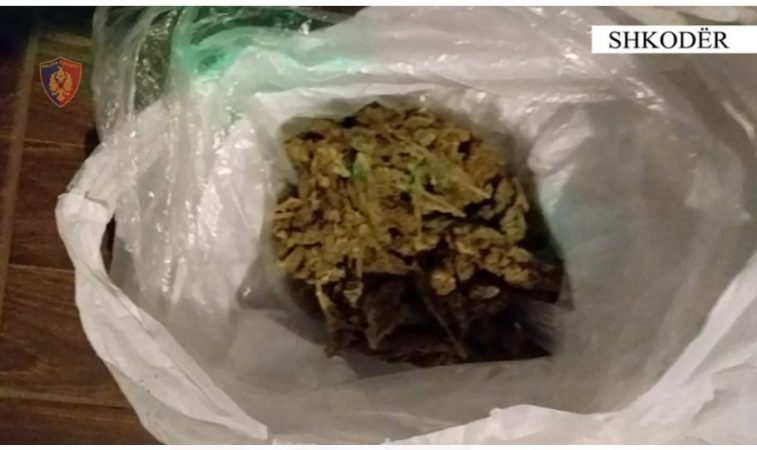 “Porosia e fundit”/ Shpërndanin kanabis në qytet, arrestohen 4 të rinj