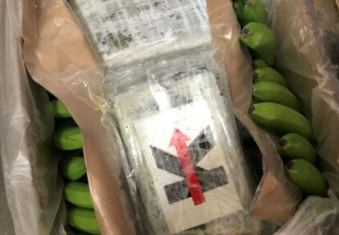 Sekuestrohen 800 kg kokainë në Norvegji, asnjë i arrestuar