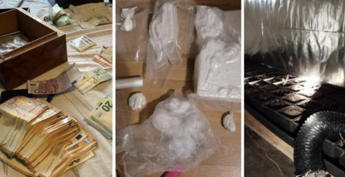 “Çmontohet” mafia shqiptare e drogës në Belgjikë, sekuestrohet plantacion me kanabis, dhjetëra makina dhe mijëra euro