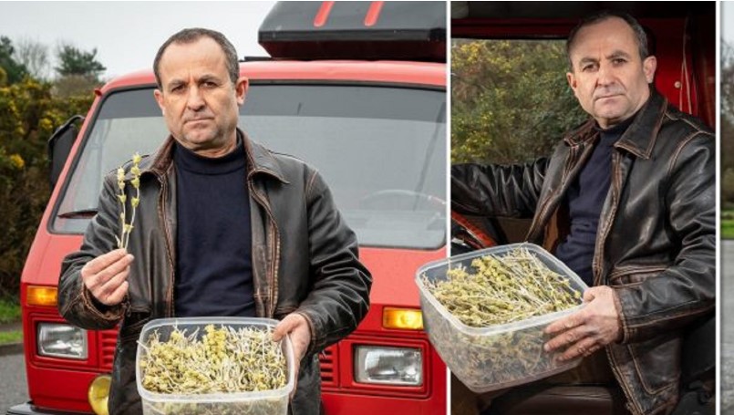 Kapet me çaj mali por i duket si kanabis, policia angleze arreston shqiptarin