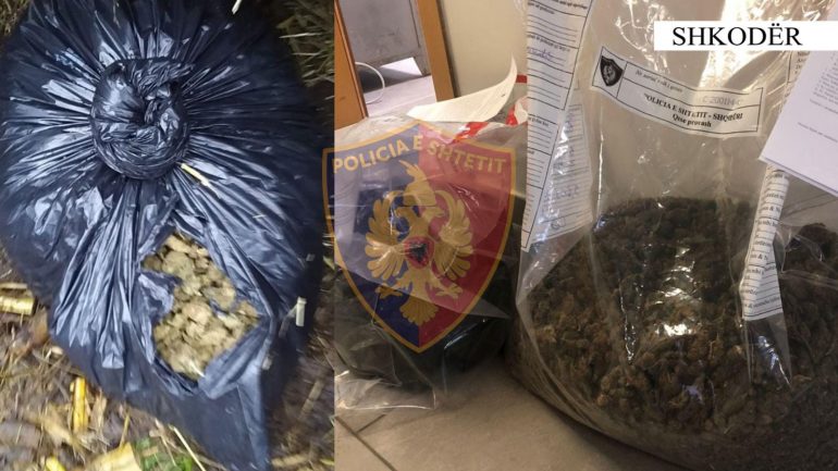 Kapen me mbi 5 kg kanabis në shtëpi, arrestohen babë e bir