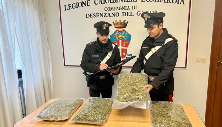 Kapet me 4 kg marjuanë, pranga për 50 vjeçarin shqiptar