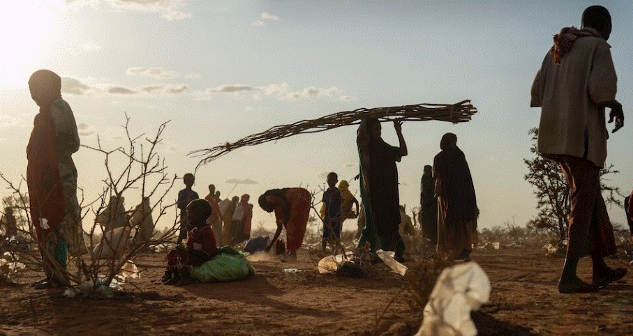 Dhjetëra mijëra të vdekur nga thatësira në Somali