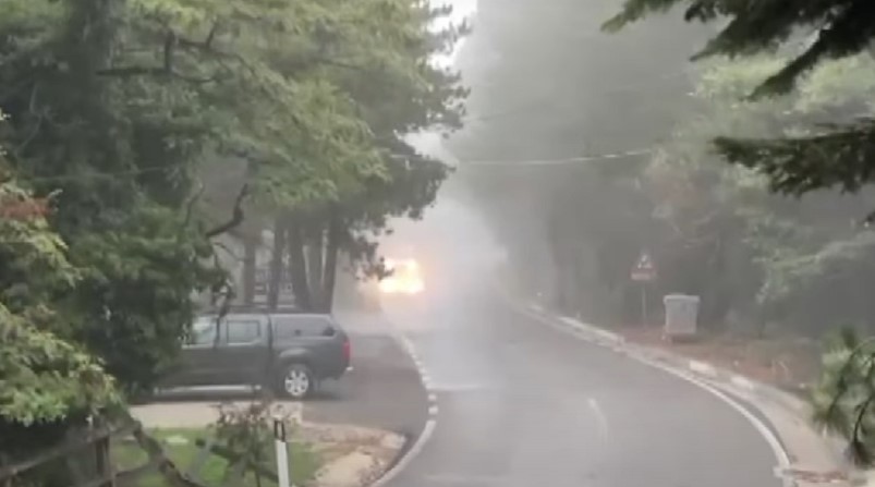 Humbi kontaktet teksa bënte guida turistike në Parkun e Llogorasë, asnjë gjurmë e gruas nga Tirana