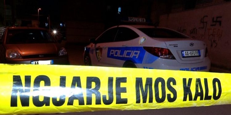 I vihet lëndë plasëse gjatë natës një biznesi në Kamëz