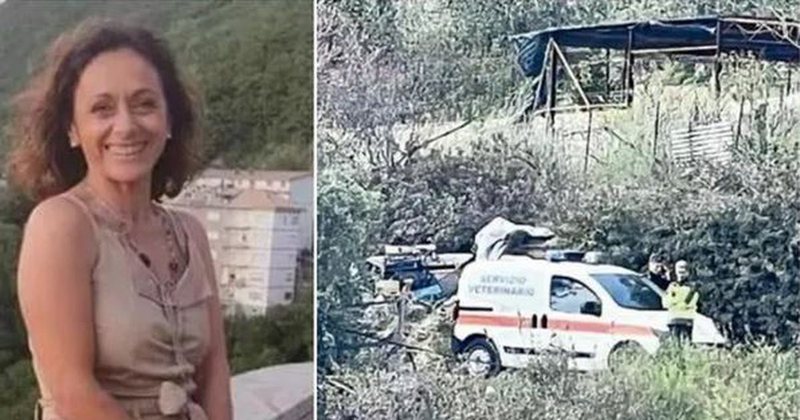 Ngjarje horror/ Qeni sulmon për vdekje 53-vjeçaren, i shqyen kokën, gjoksin e shpatullat
