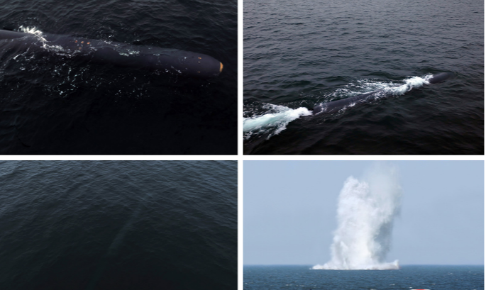 Koreja e Veriut teston dronin bërthamor nënujor