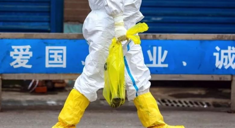 Shkencëtarët kinezë publikojnë informacionet për origjinën e COVID-19, ja çfarë zbulohet nga studimi