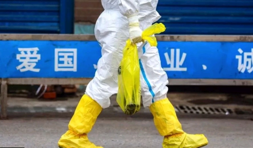 Origjina e Covid: Shkencëtarët kinezë publikojnë të dhëna të shumëpritura