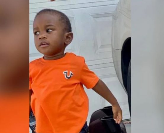 Babai hedh në liqen djalin, 2-vjeçari gjendet në gojën e një aligatori