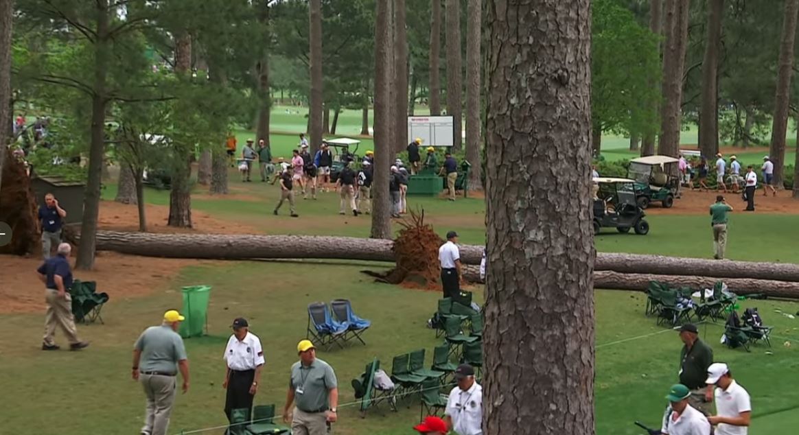 Moment paniku në turneun e golfit të Augusta, një pemë gjigande bie mbi tifozët