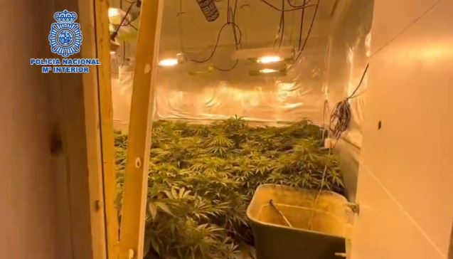 Shkatërrohet banda kriminale në Spanjë që furnizonte Europën me drogë, 12 shqiptarë të arrestuar