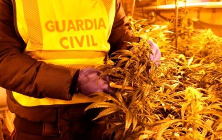 Shkatërrohet banda e trafikut të drogës në Spanjë, mes të arrestuarve disa shqiptarë
