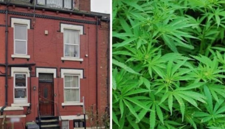 “Më kërcënuan familjen”, 1 vit burg për shqiptarin që punonte në “shtëpi bari” në Britani