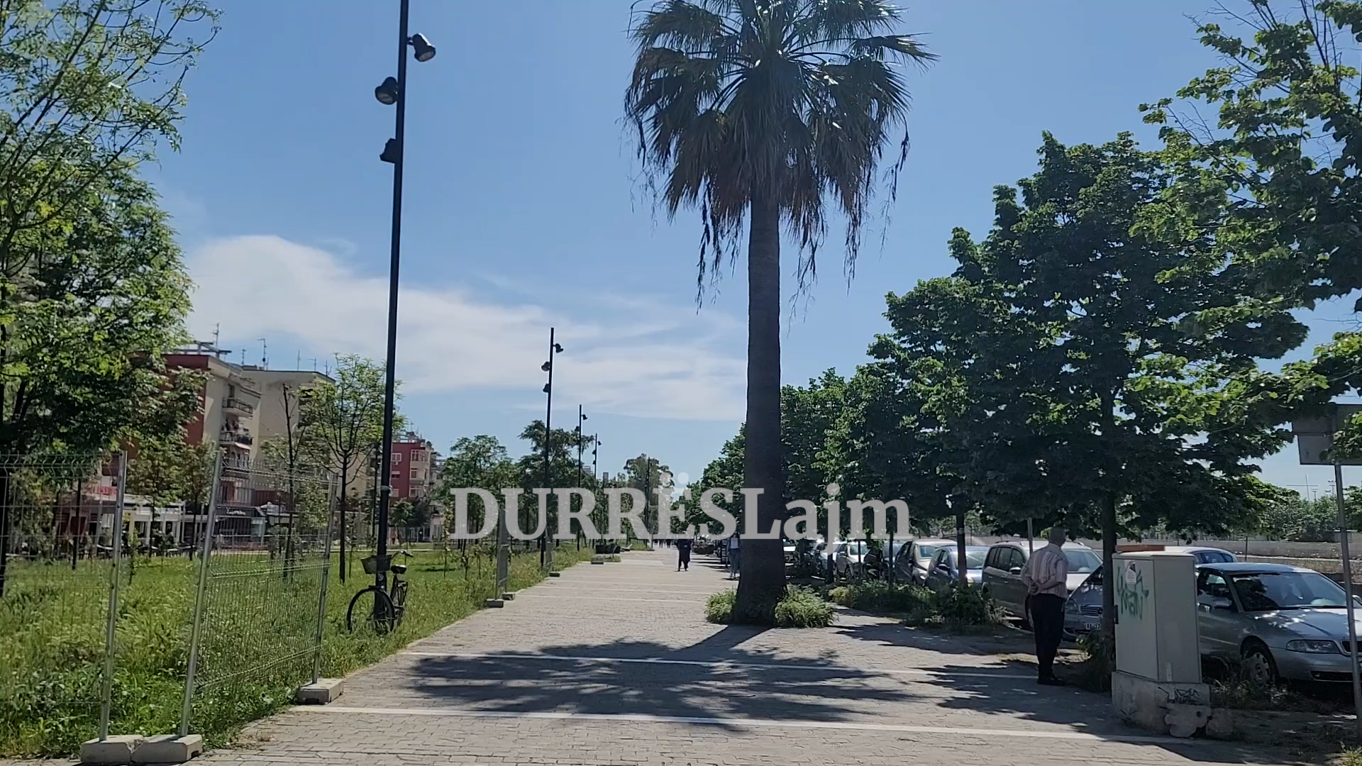 150 pemë dekorative për lulishten në hyrje të Durrësit, a janë të kënaqur qytetarët nga investimi (VIDEO)