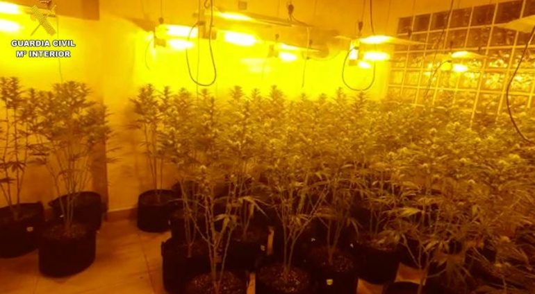 Goditet banda e drogës në Spanjë/ 31 të arrestuar, organizata drejtohej nga 2 shqiptarë