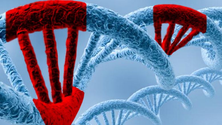 Mjekja epidemiologe: Shumica e shqiptarëve kanë një mutacion gjenetik të quajtur MTHFR