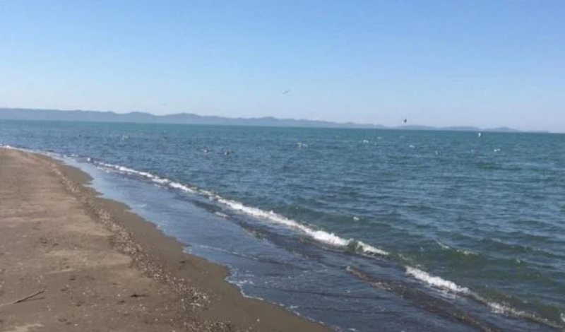 Mbytet një person në plazh, dalin detajet e para