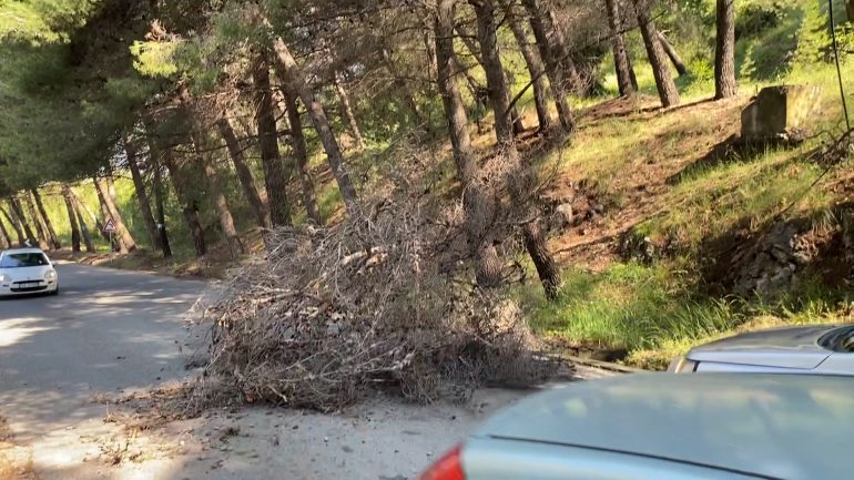 Rrëzohet pema, bllokohet pjesërisht aksi Krujë &#8211; Fushë-Krujë