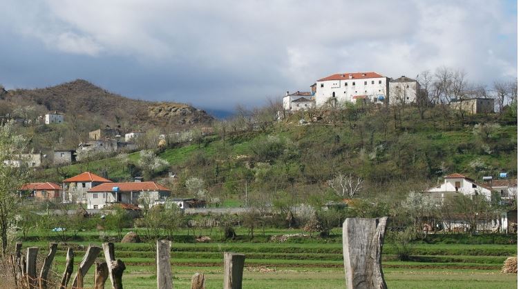 Humbi në pyll gjatë natës duke mbledhur kërpudha, 25-vjeçari gjendet i pajetë