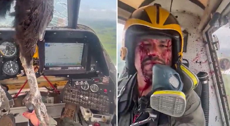 Një shpend i madh përplaset me aeroplanin dhe ngec në xham, mbulon me gjak pilotin (VIDEO)