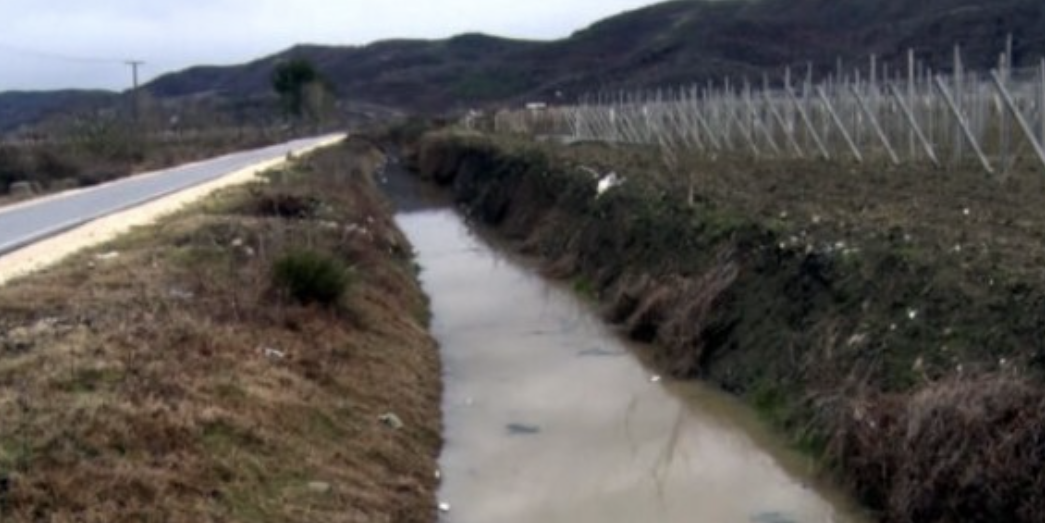 Vija e ujit fut në sherr dy gra, njëra përfundon në spital, tjetra në komisariat