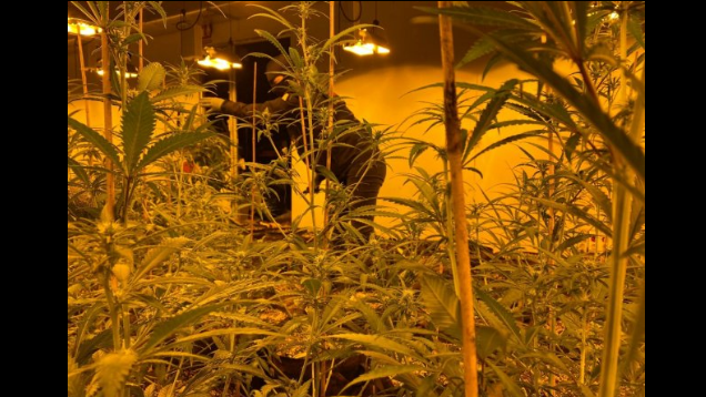 4 muaj brenda një “shtëpie bari”, arrestohen 3 të rinj shqiptarë në Spanjë