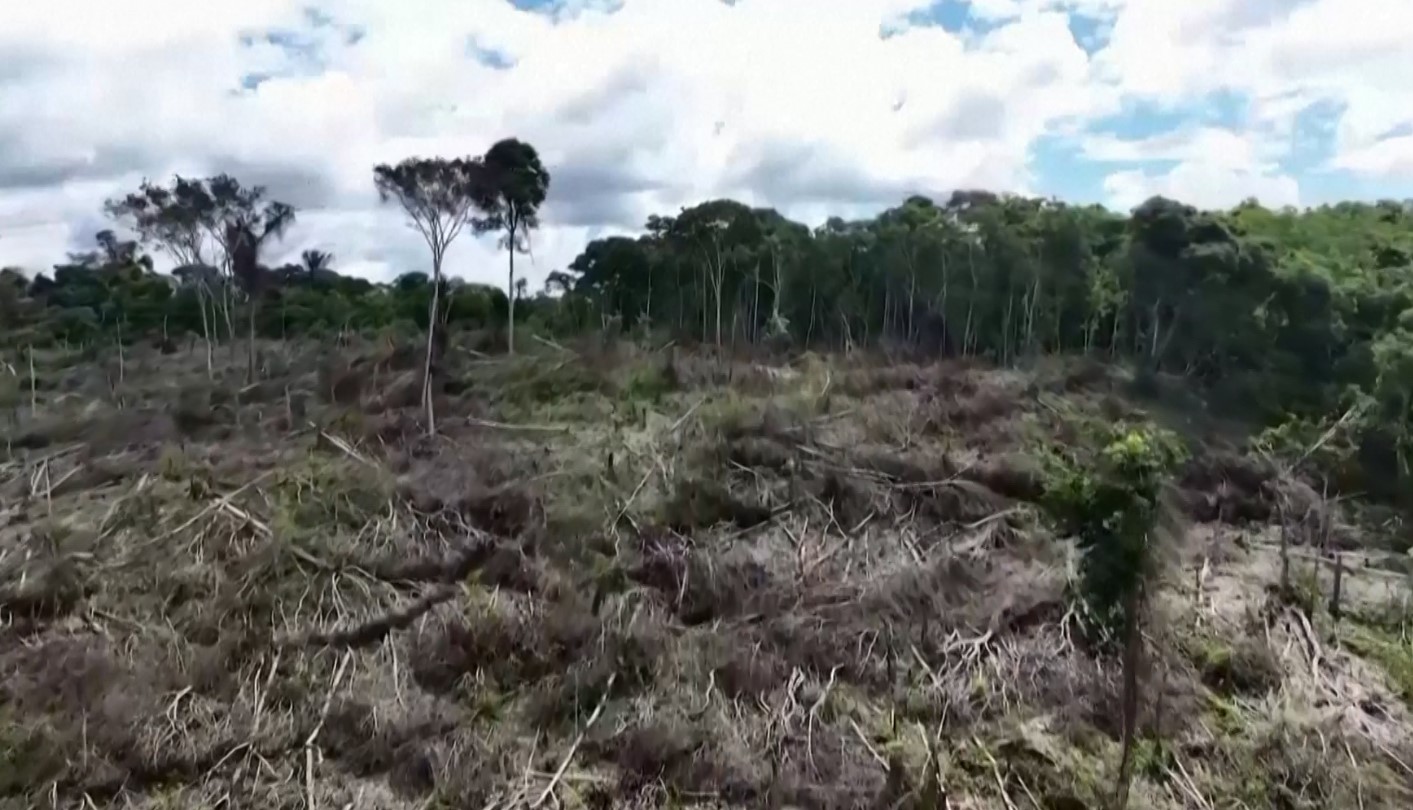 Rimbjellja e Amazonës mund të ndihmojë në shpëtimin e planetit